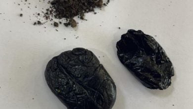 F196E6BD 30A2 4C6D BEEB 8C95CC896221