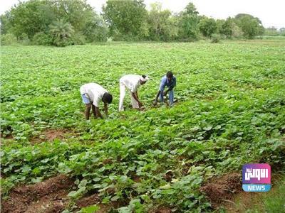 F9674457 7F9F 4B28 8BB8 583188F31116