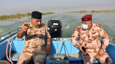 FA7B1986 D175 4A3E A915 49A346C8E9E7