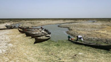 FB844D6F A630 45B5 871A 7F7EEB68CCDA