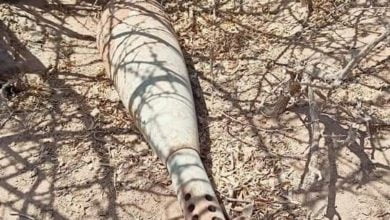 FB IMG 1624381582205