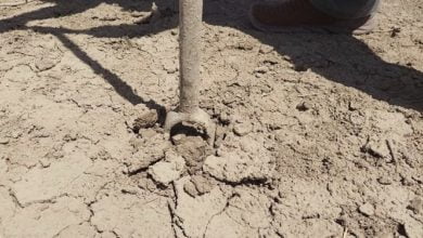 FC9C65AD FBD0 4A3D 8C1E C5C5BCEEEAB9