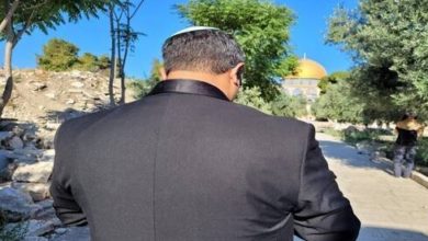 IMG ٢٠٢١٠٦٢٧ ١١٤٦٠٦