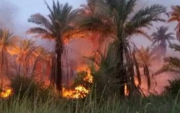 U¡U§ UU U¤U¨ 14562021 67D048EA 81DF 4501 924A C8F39EA04875