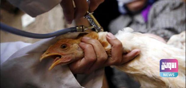 U¡U¨ U¤U U¥U 15762021 3664654