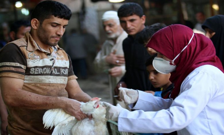 الزراعة تعلن تشكيل لجان للحد من انتشار مرض إنفلونزا الطيور في البصرة 1 U¡U¨ U¤U¢ U¢U¨ 15562021 948519EA 2E24 458D 9327 0C1C6FC3ACE2