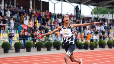 e458b11a 5438 4cb6 8e72 d4ab428358e1