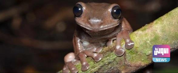 ٢٠٢١٠٦٠٣ ٢١١٩٠٩