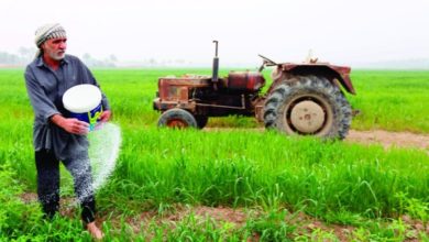 ٢٠٢١٠٦١٠ ١٨٣٥٢٢