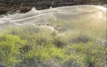 ٢٠٢١٠٦١٧ ٢٢٥٧٤٥