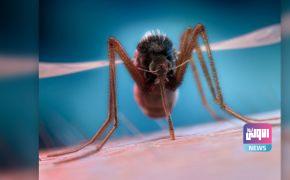 ٢٠٢١٠٦١٩ ٠٢٠٢٤٨