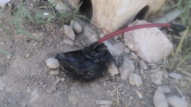 ٢٠٢١٠٦١٩ ١٥٢٤٢٧