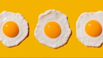 ٢٠٢١٠٦٢٦ ١٩١٠٢٦