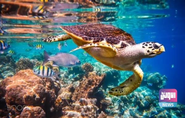 ٢٠٢١٠٦٢٨ ٢٣٠١٥٣