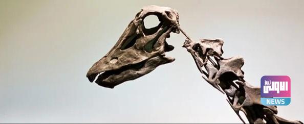 ٢٠٢١٠٦٢٩ ٢١٣٧٠٤