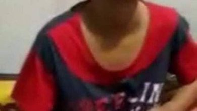 01FC288C 0CB0 4CB4 98A0 8B6551552DD0