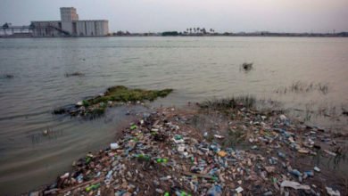 071868F2 8BDC 4186 9812 1F9528BEFD7B