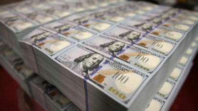 0FA1D9AF BAB8 4064 A34A 74F1DF2E59BD