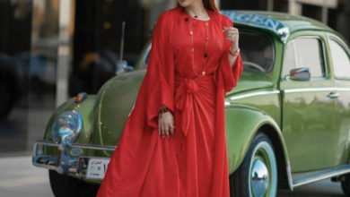 10163EFA 02FA 43B6 BDC8 82FAF4BF8512