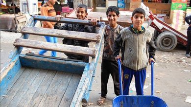 12BAAA1E EF55 42FC B7E4 DE5A781CB3CA