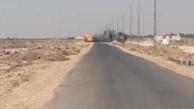 13572021 211070028 340423107659552 3410836516186328629 n