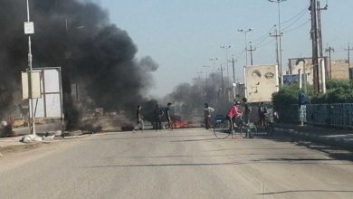 141172021 b5068319b9430109d95e5f465950fa78