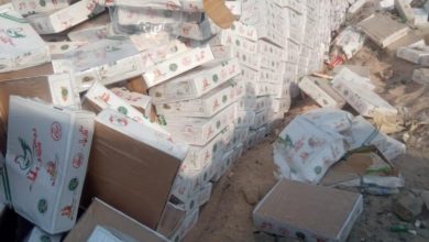 14172021 1b34ba01 7da9 4dd5 8e54 9e437ab30c8e