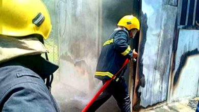 14272021208444508 1569800616694892 8884627556601357914 n