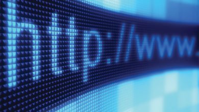 151372021 256151372021 444