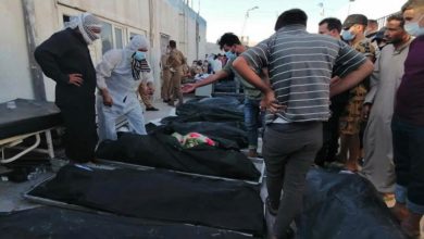 155CE094 B6EF 44EC A608 03B244B8DD53