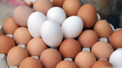 16B102B8 A3BB 4DCC 80C3 1F55B4D3ADA0