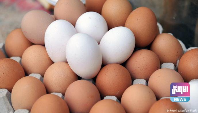 16B102B8 A3BB 4DCC 80C3 1F55B4D3ADA0