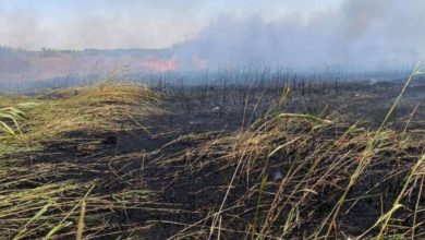 17472021 c57314a7 028a 4c16 b82f dbdfad43507b