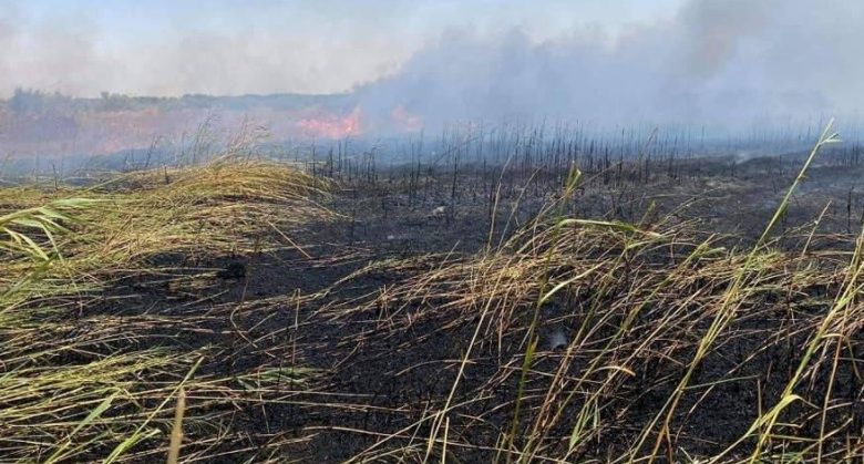 17472021 c57314a7 028a 4c16 b82f dbdfad43507b