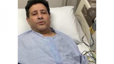 176 203058 artist hani shaker 700x400