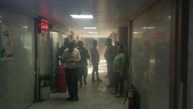 17672021 ExtImage 3528221 1763359488