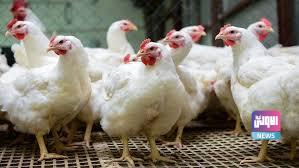 20A28698 13FA 4B2F 9E49 3DD625BB7C03