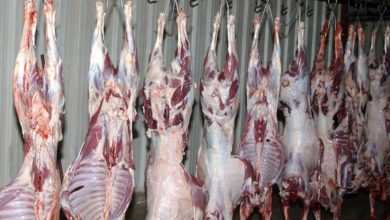 21F4DAC9 296C 4685 A2B0 A92EB808A385