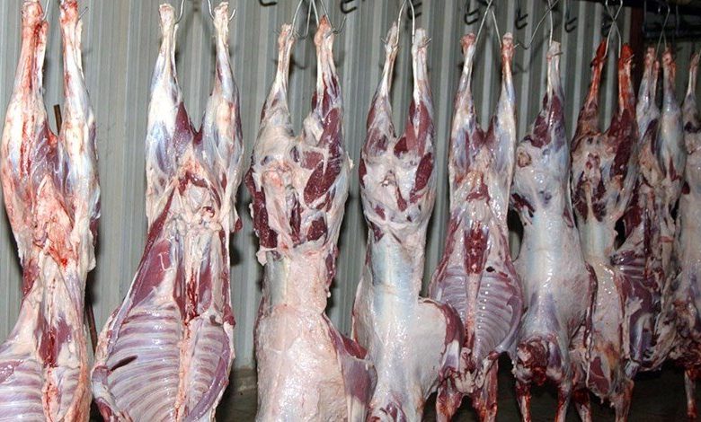 21F4DAC9 296C 4685 A2B0 A92EB808A385