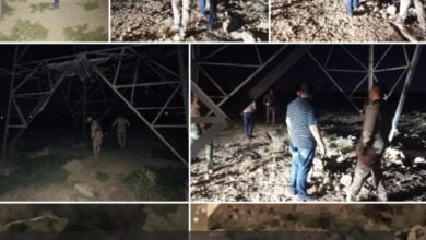 239471FB 41A2 4014 99D7 DCCC770A7286