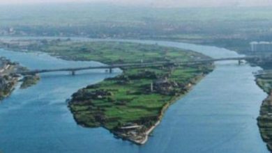 2559E69B 14A8 4396 8A1B CEF93C8EA989