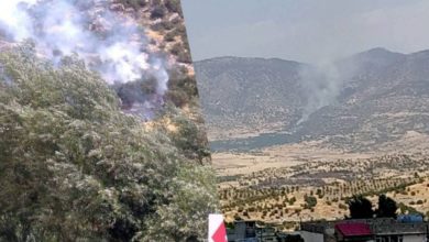 27706783 4942 4EFE 9CB4 7EB8AB7DD1AB