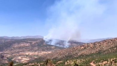 2BF7129C 8CC2 4E7E 890F 569C7B21E786