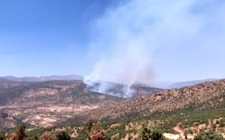 2BF7129C 8CC2 4E7E 890F 569C7B21E786