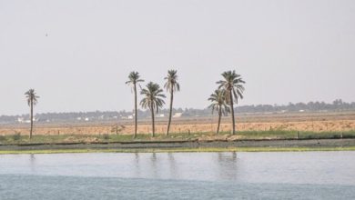 الموارد المائية: دراسة لإنشاء سدة قاطعة لتقليل الملوحة بشط العرب 6 2CF3507A FE70 47B7 A271 5E06BCC32872