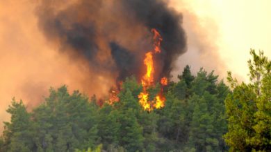 2E41D8FB 772F 4B42 AB56 3E14821C177D