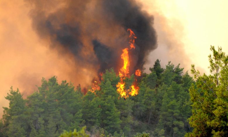 2E41D8FB 772F 4B42 AB56 3E14821C177D