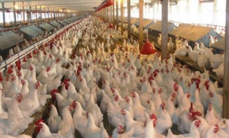 38F9CEB6 750C 4C3F B3FF EE109797F2DB