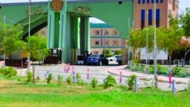 3A59A514 4EA2 40D2 A7BE 09200B2FDFE5