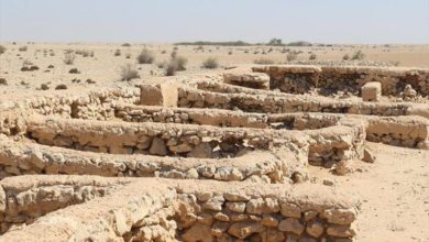 3A67C85E 4010 47D0 9F78 84ACCE631D0F